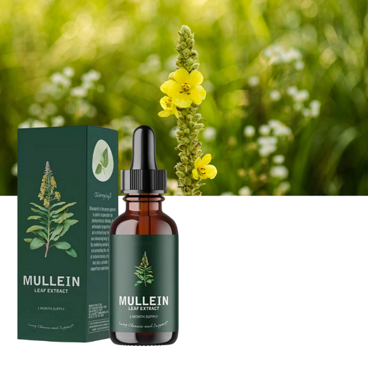 Mullein for Lung Wellness Breathe Easy & Boost Wellness Naturally