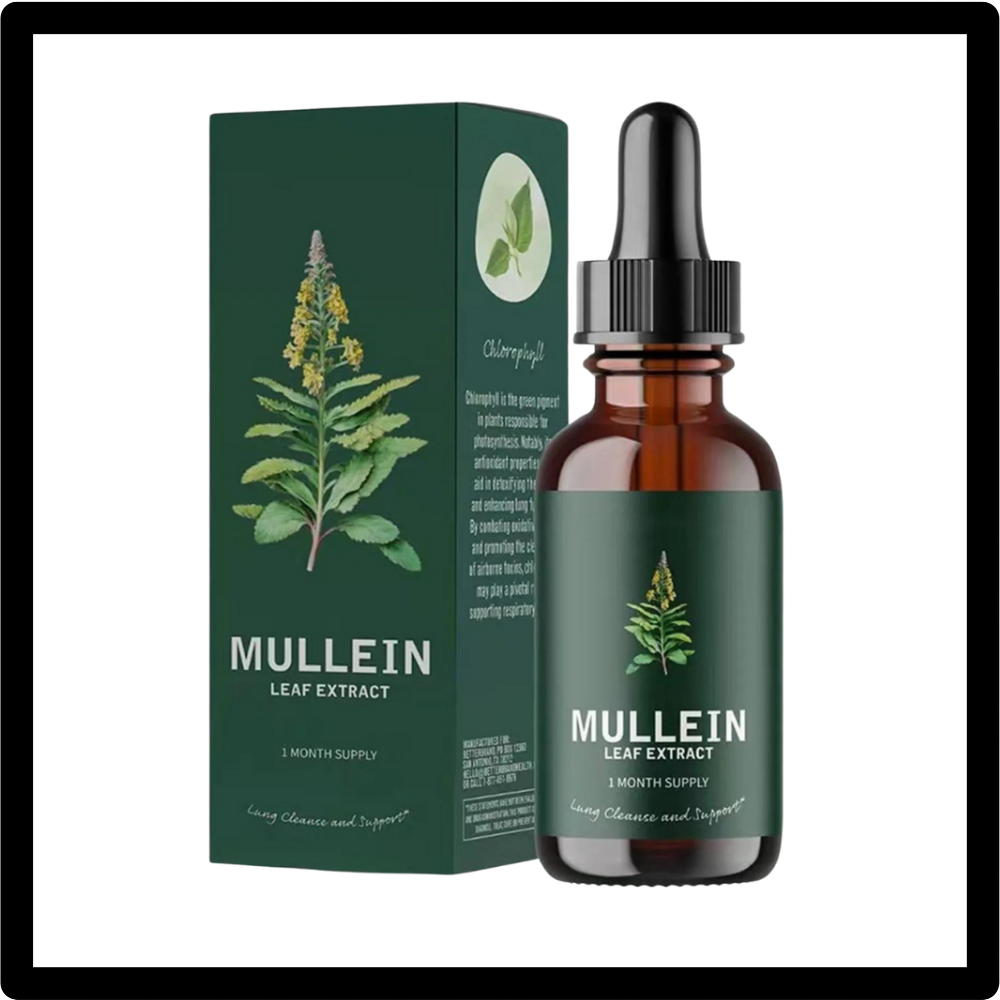 Mullein for Lung Wellness Breathe Easy & Boost Wellness Naturally